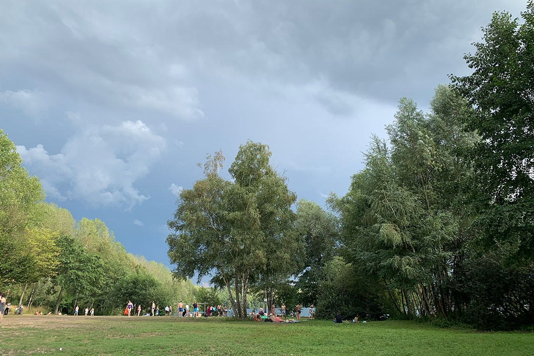 A large green field with trees in the background

Description automatically generated